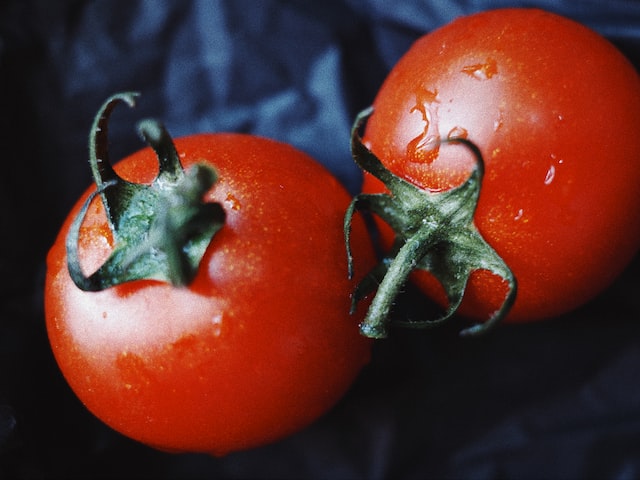 如何进行番茄种植